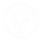 Regeneration and Vitality