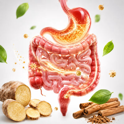 Deep Digestive Cleanse