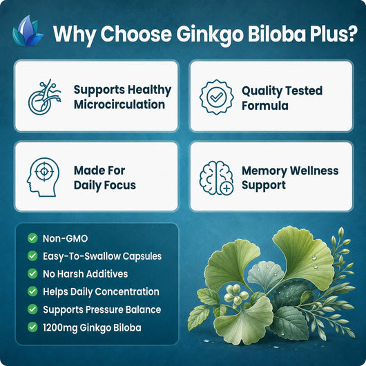 GINKO BILOVA PLUS