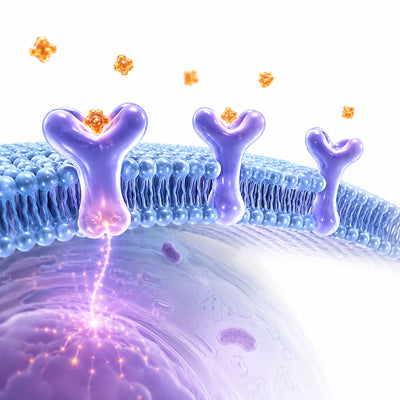 Enhanced Sensitivity